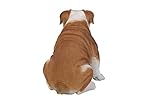 Hi-Line Gift Ltd Dog - Bulldog - Large Statue