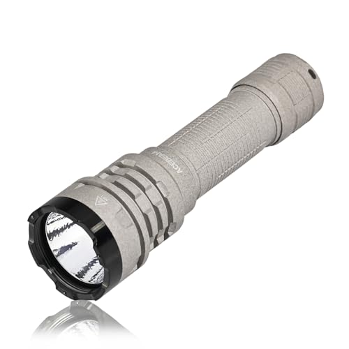 ACEBEAM Defender P17 Tactical Flashlight Dual Tail Switch 4900lm 487 Yards Long Range Throw Instant Activation & Strobe IP68 Waterproof Powerful Portable Small Cree XHP70.3 HI LED Flashlights (Mao)