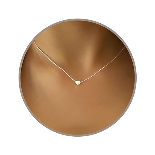 Annika Bella Heart Necklaces for Women, 925 Sterling Silver Necklace with Charm, Gift for Her, Minimalist Romantic Valentines Jewelry, Waterproof Simple Heart Pendant (Silver)