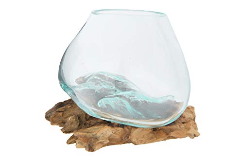Creative Co-Op Decorative Glass Planter on Wood Base, Clear and Natural