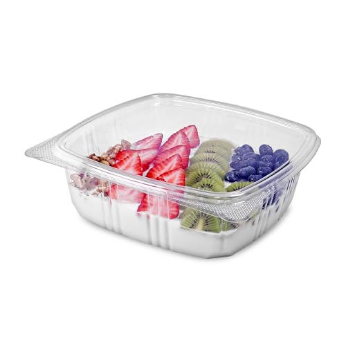 KODA CUP 48oz RPET Clear Hinged Lid Deli Container -200Pcs