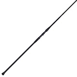 PENN 10’ Battalion II Surf Conventional Casting Rod, 15-30lb Line Rating, 2 Piece Graphite Composite Fishing Rod, Black/Gold