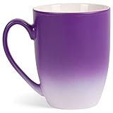 Elanze Designs Purple White Two Toned Ombre Matte 12 ounce Ceramic Stoneware Coffee Cup Mugs Set of 4