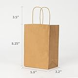 METAPRINT 100 Pack 5.8x3.2x8.25 Inch Small Brown Paper Bags with Handles Bulk, Paper Gift Bags, Kraft Bags for Birthday Party Favors Grocery Retail Shopping Business Goody Craft Bags