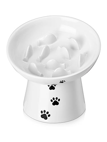 Y YHY Slow Feeder Cat Bowl, Ceramic Cat Slow Feeder Bowl, 6 Inches, Elevated, Anti Vomiting for Dry and Wet Food, White