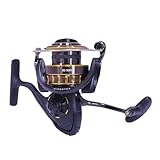 Daiwa BG Spinning Reel, Black/gold, 3000