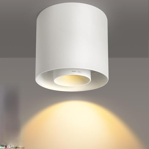 OTeedo 30W Zoomable Ceiling Spotlight Fixture,LED 3 Color Dimmable 4.7"Cylinder Flush Mount Down Lights,20w/10w Power Adjustable Ceiling Lights Spot Light Indoor for Living Room Hallway Kitchen White