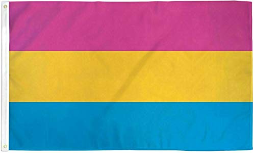 Trade Winds 2x3 Pansexual Rainbow Pride Flag 2x3ft with Grommets LGBTQIA Pride - Pan Pride Premium Fade Resistant