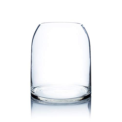 WGV Dome Vase, Width 9.8" Height 12" Clear Elegant Glass Planter Terrarium Gathering Storage Jar Taper up Floral Container for Wedding Party Ceremony Event Office Home Decor, 1 Piece