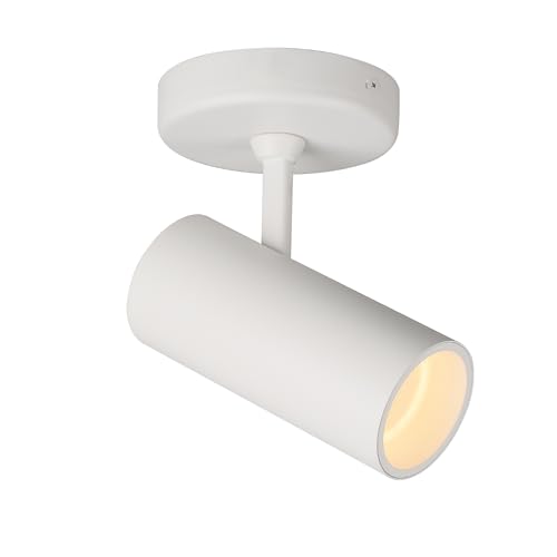 Aisilan 9W LED Modern White Directional Dimmable Spotlight Indoor, Adjustable Angle Anti-Glare Wired Ceiling Spot Light Lamp for Living Room, Picture, Panting Accent Lighting - Warm Light, CRI 97