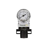 PneumaticPlus PPR2-N02BG-2 Miniature Air Pressure Regulator 1/4" NPT - Gauge, Bracket, Instrument Pressure (3-30 PSI)