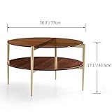 Saint Mossi Glass Round Coffee Table for Living Room, Middle-Century Modern Style, Coffee Brown Glass Top & Walnut Brown MDF Wood Top, with Gold Finish Legs & Frame