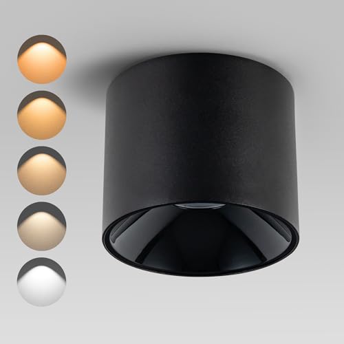 Ajbvp Modern LED Ceiling Spotlight 5CCT 4.72 inches 18W Dimmable Ceiling Light,2700K-5000K,for Living Room Spotlight Indoor(Black)