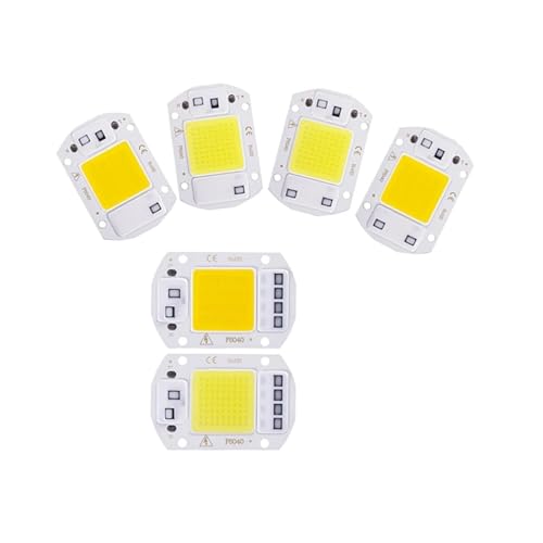 TCTKPAMANZ 6PCS LED Chip AC 220V F6040 20W/30W/50W COB Lamp Bead Smart IC No Need Driver Outdoor Focus Spotlight Garden DIY Chip Lamp(6PCS 20W White)