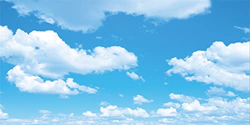 Yeele 20x10ft Blue Sky White Cloud Backdrop Sunny Day Sky Nature Photography Background Room Decorations Party Banner Baby Shower Kids Adults Artistic Portrait Photo Video Shoot Vinyl Studio Props