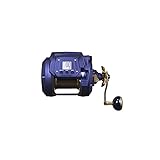 Daiwa Sea Power 800 Electric Reel