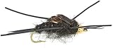 The Fly Fishing Place Basics Collection - Kaufmann's Tungsten Bead Stonefly Nymph Assortment - 10 Bead Head Rubber Legs Wet Flies - 5 Patterns - Hook Sizes 4, 6, 8, 10, and 12