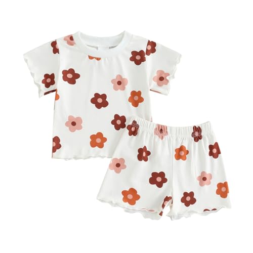 fhutpw Toddler Baby Girls Summer Outfits Daisy Ruffle Short Sleeve T-Shirts Tops Floral Shorts 2Pcs Clothes Set 6M-4T (B Floral White, 18-24 Months)