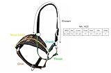 Majestic Ally Equestrian Designer Bronc Halter for Horses, Hand-Tooled Leather Nose, Padded Nylon Crown and Noseband (Yellow Sunflower, Black, Full)