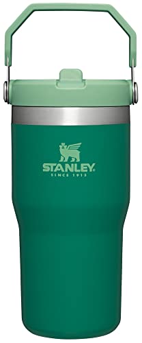 Stanley IceFlow Flip Straw Tumbler with Handle 20 oz | Twist On Lid and Flip Up Straw | Leak Resistant Water Bottle | Insulated Stainless Steel |BPA-Free | Alpine
