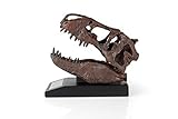 The Nation's T-Rex Skull Statue | Smithsonian Fossil Replica | 6-Inch Tall Tyrannosaurus Rex Desk Statue | 1:10 Scale