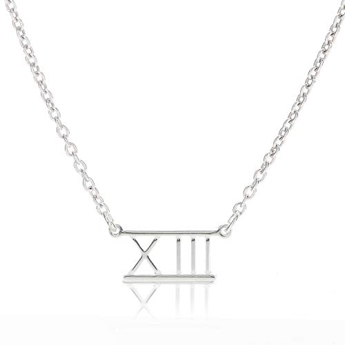 Deidreamers Roman Numeral Birthday Number Bar Necklace (XIII (13) Silver)