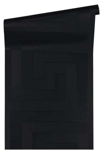 A.S. Création Wallpaper Feather Design - Black - Mural Wallpaper 395.99in x 20.87in Made in Germany - 935234