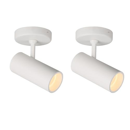 Aisilan 2 Pack 9W LED Modern Directional Dimmable Spot Light Indoor, Adjustable Angle Wired Ceiling Spotlight Lamp for Living Room, Painting, Artwork Accent Lighting - Warm Light 3000K, CRI 97