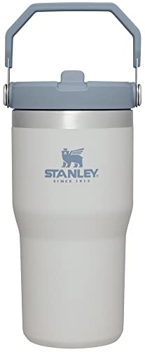 Stanley IceFlow Flip Straw Tumbler with Handle 20 oz | Twist On Lid and Flip Up Straw | Leak Resistant Water Bottle | Insulated Stainless Steel |BPA-Free | Fog