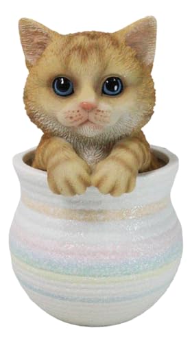 Ebros Gift Lifelike Orange Tabby Cat Hiding in Artistic Pastel Rainbow Pot Pet Pal Home Decor Figurine 6.25" Tall with Blue Eyes Feline Cats Kittens Sculpture