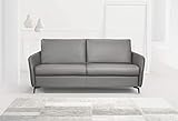 Salottitalia Dodo Sleeper Sofa, Top Grain Italian Leather, Stainless Steel Mechanism (Dark Grey)