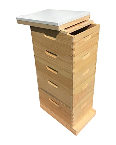 Little Larue Apiary LLc 8 Frame Bee Hive 2 Deep & 3 Medium Beekeeping Beehive Body Only (Un-Assembled) Langstroth (Screen Bottom)