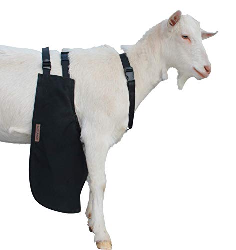 Buck Apron OLOR Anti-Breeding Anti-Mating for Goats and Sheep (X-Large/Long)