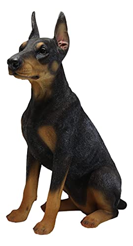 Ebros Large Lifelike Realistic Sitting Black Doberman Pinscher Dog Statue 23.5" Wide Fine Pedigree Dogs Dobermann Breed Gallery Quality Collectible Decor with Glass Eyes Figurine