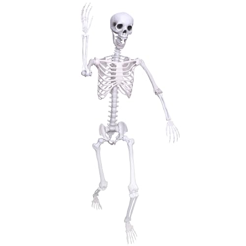 5.9Ft Halloween Skeleton Posable Skeleton Life Size Skeleton Plastic Full Body Human Skeleton for Halloween Decorations