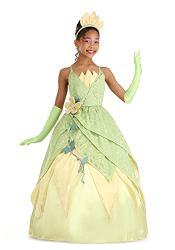 Fun Costumes Girl's Disney Deluxe Tiana Costume Medium