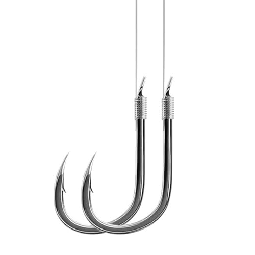 AMHDV Pre Tied Fishing Hooks on Line, Small Fish Hook with Leaders (Pack of 20) (Black, 2# (11-15.4lb))