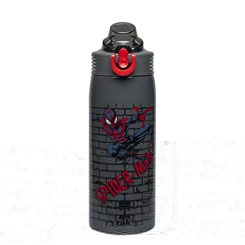 Zak Designs Marvel Spider-Man Sage Kids Water Bottle For School or Travel, 19oz Stainless Steel Water Bottle With Straw, Handle, and Leak-Proof, Pop-Up Spout Cover (Miles Morales)