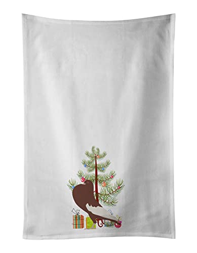 Caroline's Treasures BB9321WTKT English Pouter Pigeon Christmas White Kitchen Towel Set of 2 Dish Towels, Teal Decorative Bathroom Hand Towel for Hand, Face, Hair, Yoga, Tea, Dishcloth, 19 X 25, Whit