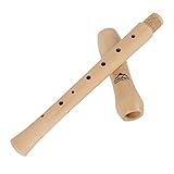 Eastrock Recorder Instrument for Adults Beginners Maple Wood C Key Soprano Recorder German Style 2 Piece With Hard Case