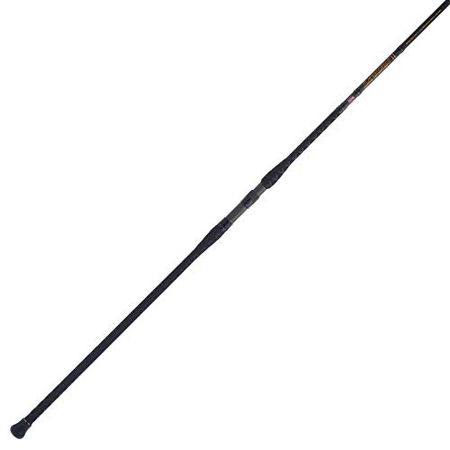 PENN 10’ Battalion II Surf Conventional Casting Rod, 15-30lb Line Rating, 2 Piece Graphite Composite Fishing Rod, Black/Gold