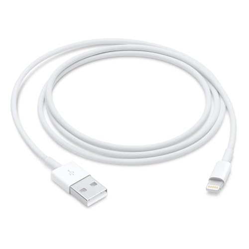 Apple Lightning to USB Cable (1 m)