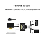 SKLTD 2 Port USB VGA KVM Switch, 2 in 1 Out Dual Port VGA Monitor Switcher Share for 2 Computer PC Laptop Notebook Sharing 1 Video Monitor, No Power Adapter, HotKey Switching