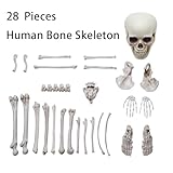 28 Pieces Life Size Skeleton Bones Halloween Decorations Outdoor Indoor, Bag of Fake Plastic Human Skull Bones for Outside Inside Halloween Party Haunted House Graveyard Decor