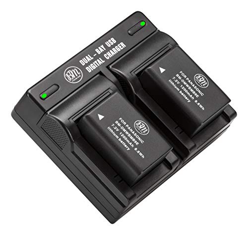 BM Premium 2 Pack of DMW-BMB9 Batteries and Dual Bay Battery Charger for Panasonic Lumix DC-FZ80, DC-FZ80D, DMC-FZ40K, DMC-FZ45K, DMC-FZ47K, DMC-FZ48K, DMC-FZ60, DMC-FZ70, DMC-FZ100, DMC-FZ150 Cameras