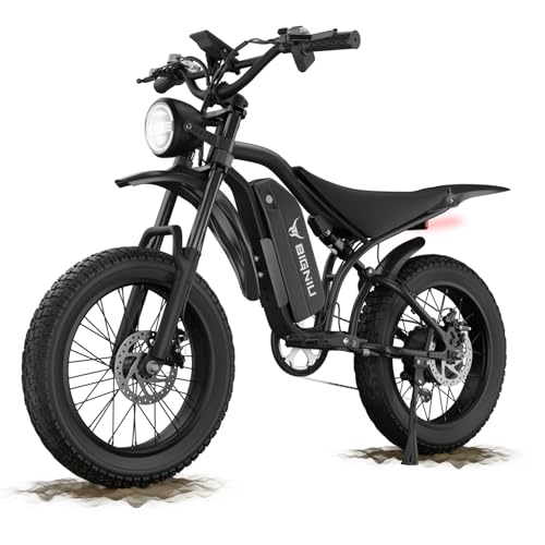 BIGNIU Electric Bike for Adults – 20" Fat Tire, Peak 1200W Motor, 48V 15A/22.5A Battery, 7-Speed, Dual Disc Brakes for Off-Road and City Riding (BG-S, Black)