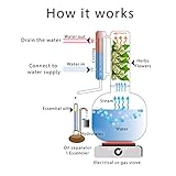 Essential Oil Distiller 2L 4 inches (premium kit) - Essential Oil Distiller for Steam Distillation Oil Making and Extracting - Home Distiller Equipment DIY Essential Oil from Herbs, Plants and Flowers