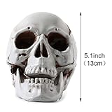 Sratte 4 Pcs Halloween Human Skull Model Adult Plastic Skull Decor Fake Head Decorations Realistic Head Bone Model Human Skeleton Statue (5.1 Inch)