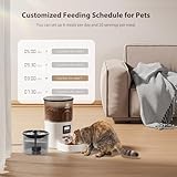 IMIPAW Automatic Cat Feeder and Water Fountain, Timed Pet Dry Food Dispenser, Programmable Portion Control, 1-6 Meals Per Day, Cat Fountains for Drinking with Filter, Small Pets (3L Combo)