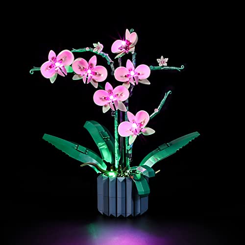 LIGHTAILING Light for Lego-10311 Orchid - Led Lighting Kit Compatible with Lego Building Blocks Model - NOT Included The Model Set